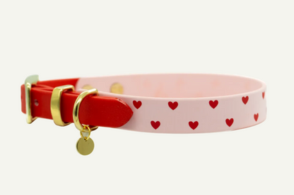 BIOTHANE® HALSBAND DUOPAW 'VALENTINE' | LIMITED EDITION