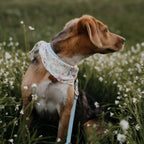 HUNDEHALSTUCH 'SPRING BLOOM'