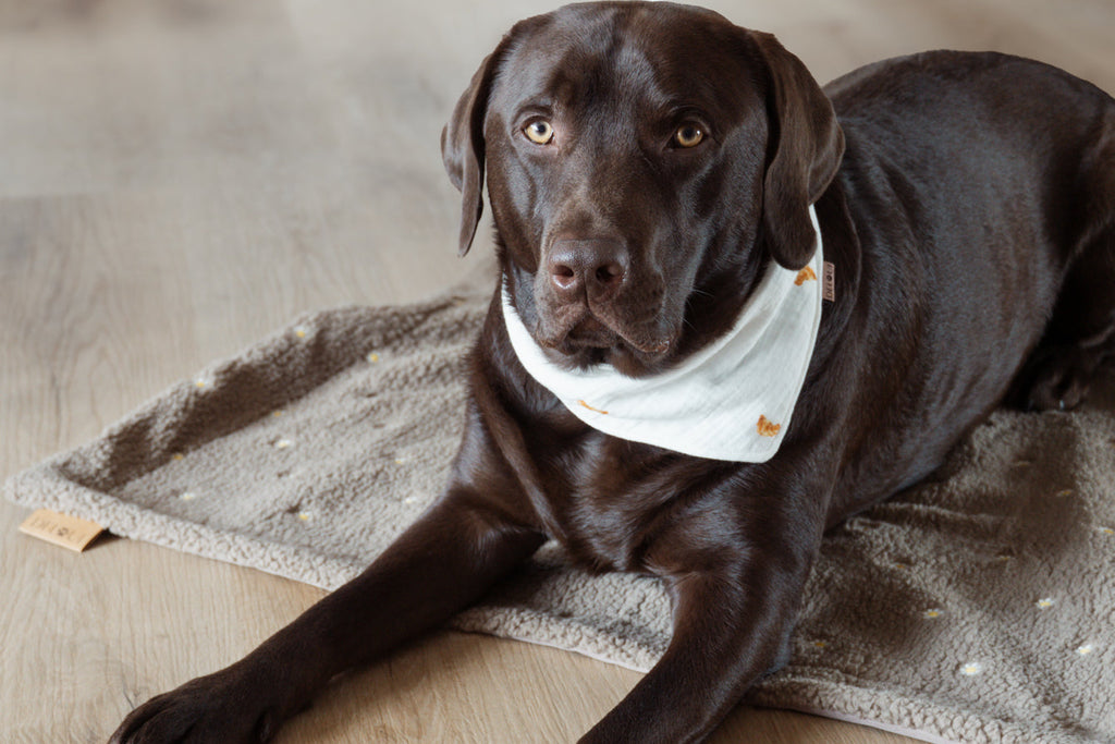 OUTDOOR HUNDEDECKE | WILDFLOWER - BRAUN