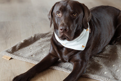 OUTDOOR HUNDEDECKE | WILDFLOWER