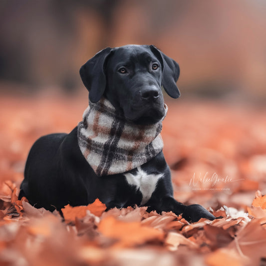 HUNDEHALSTUCH 'WOODLAND'