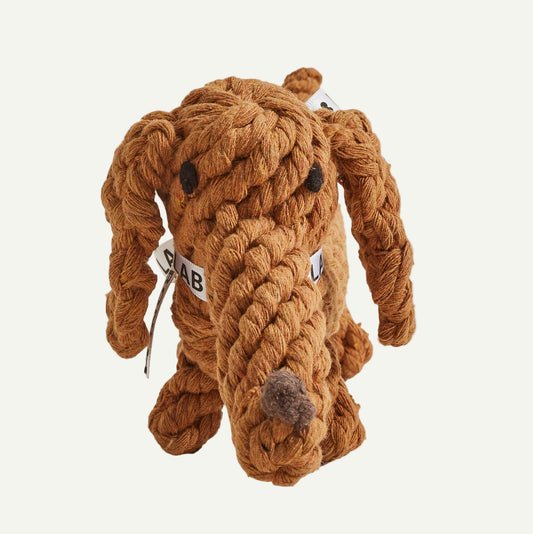 DIEGO DACKEL | KAUSPIELZEUG