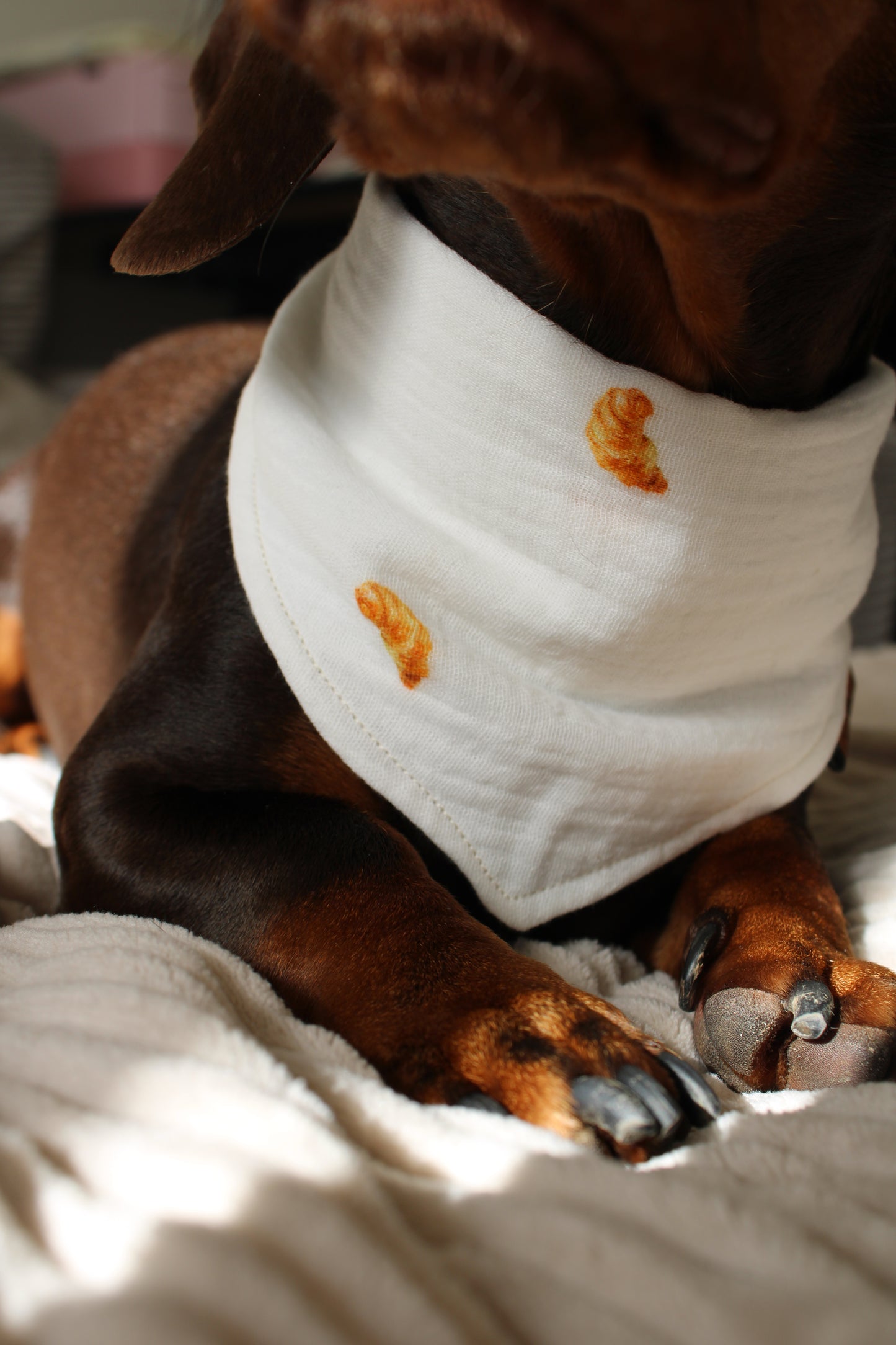 HUNDEHALSTUCH 'CROISSANT'