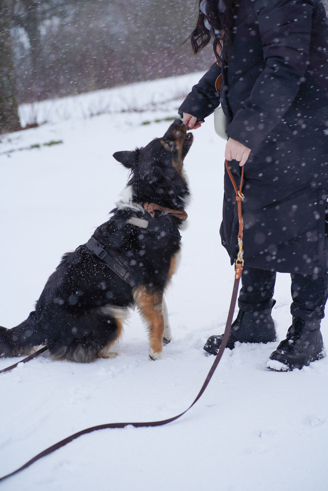 BIOTHANE® SCHLEPPLEINE 'TWO ELEMENTS'