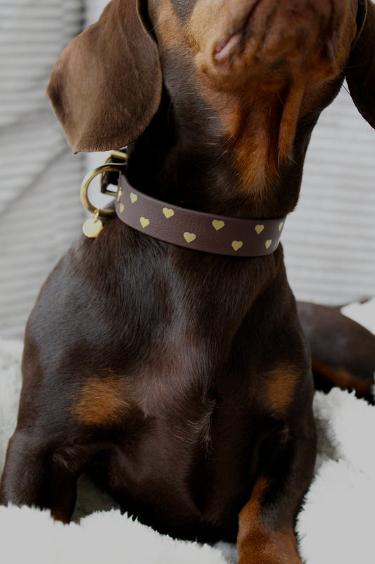 BIOTHANE® HALSBAND 'PETIT AMOUR'