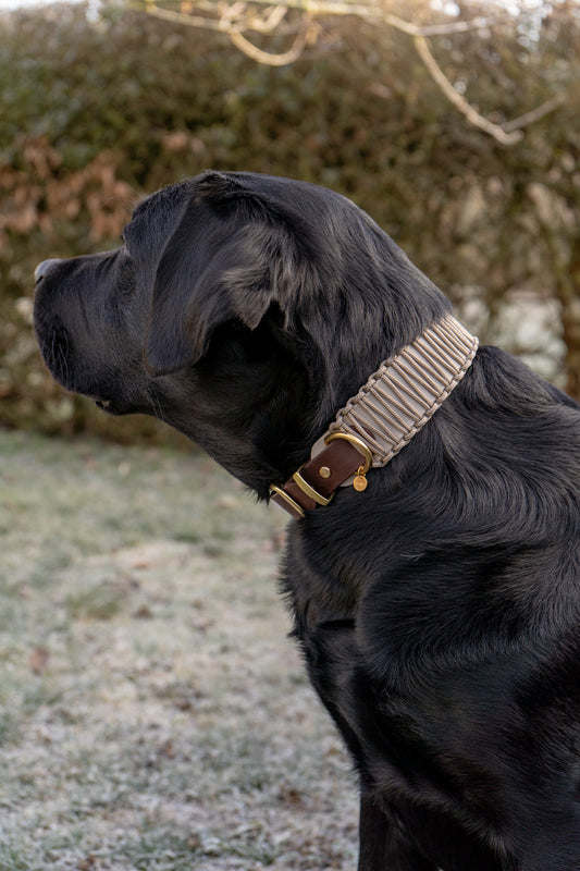 BIOTHANE x PARACORD HALSBAND 'SANDSTONE'